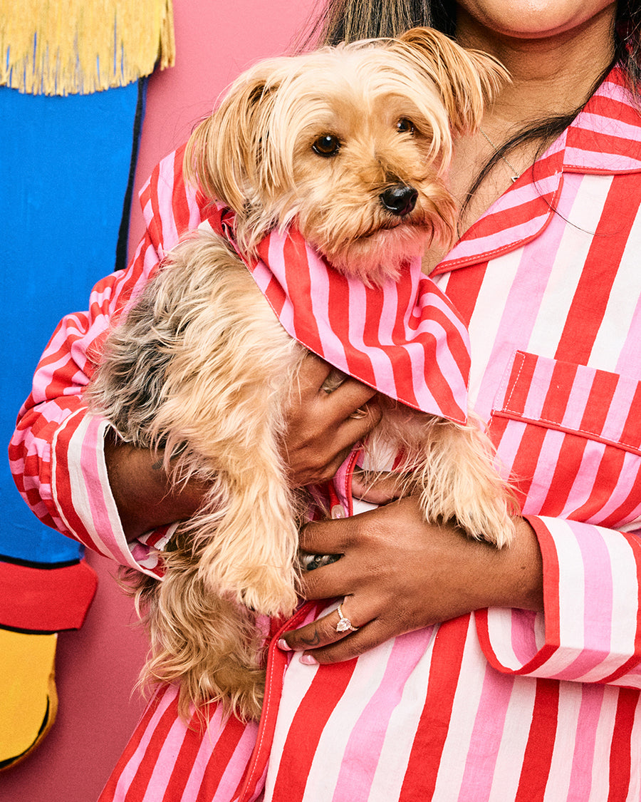 Taffy Stripes - Pet Bandana - Peppermint Swirl - Printfresh