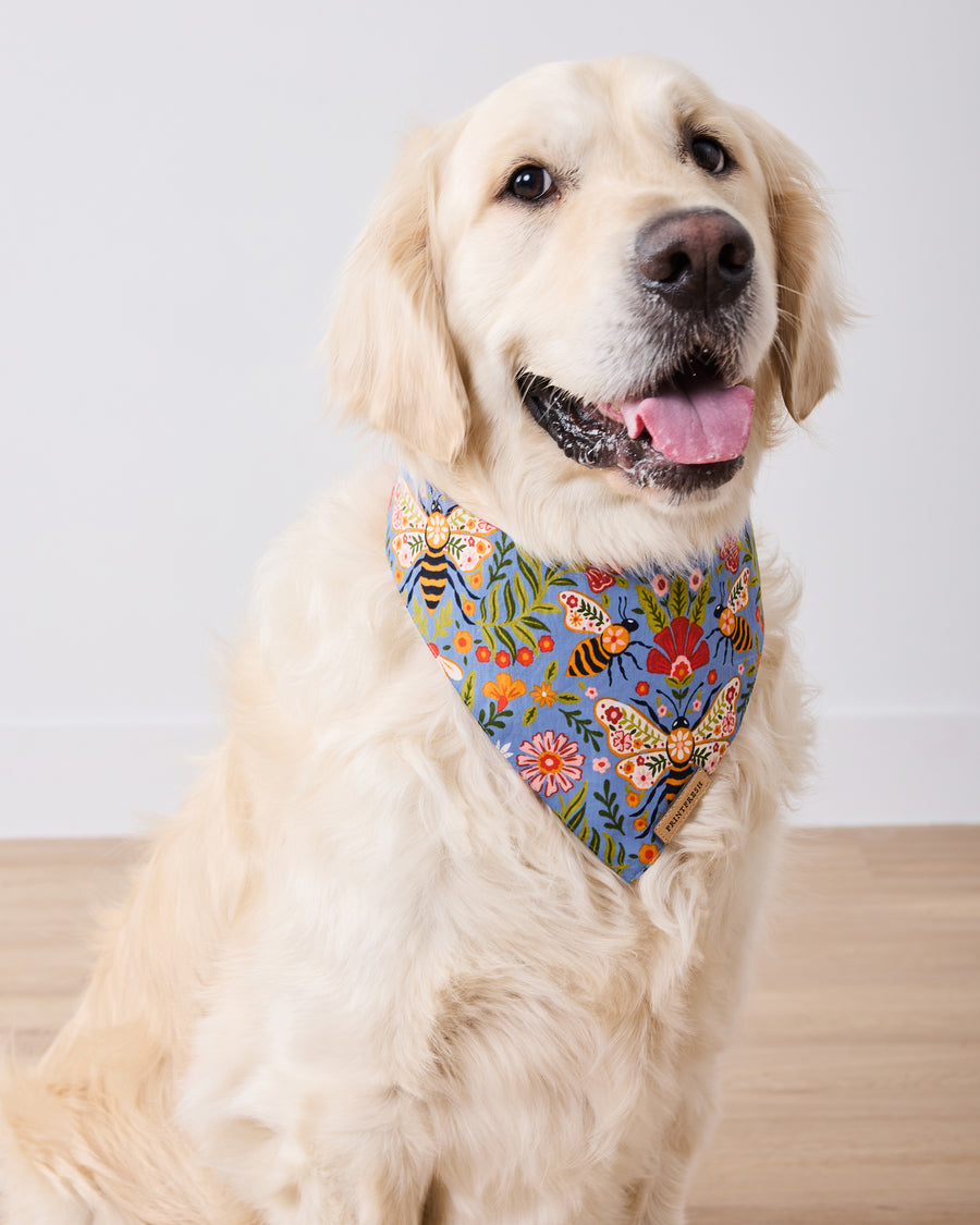 Golden retriever wearing a blue floral pet bandana printed with bees, butterflies, flowers, and leaves.