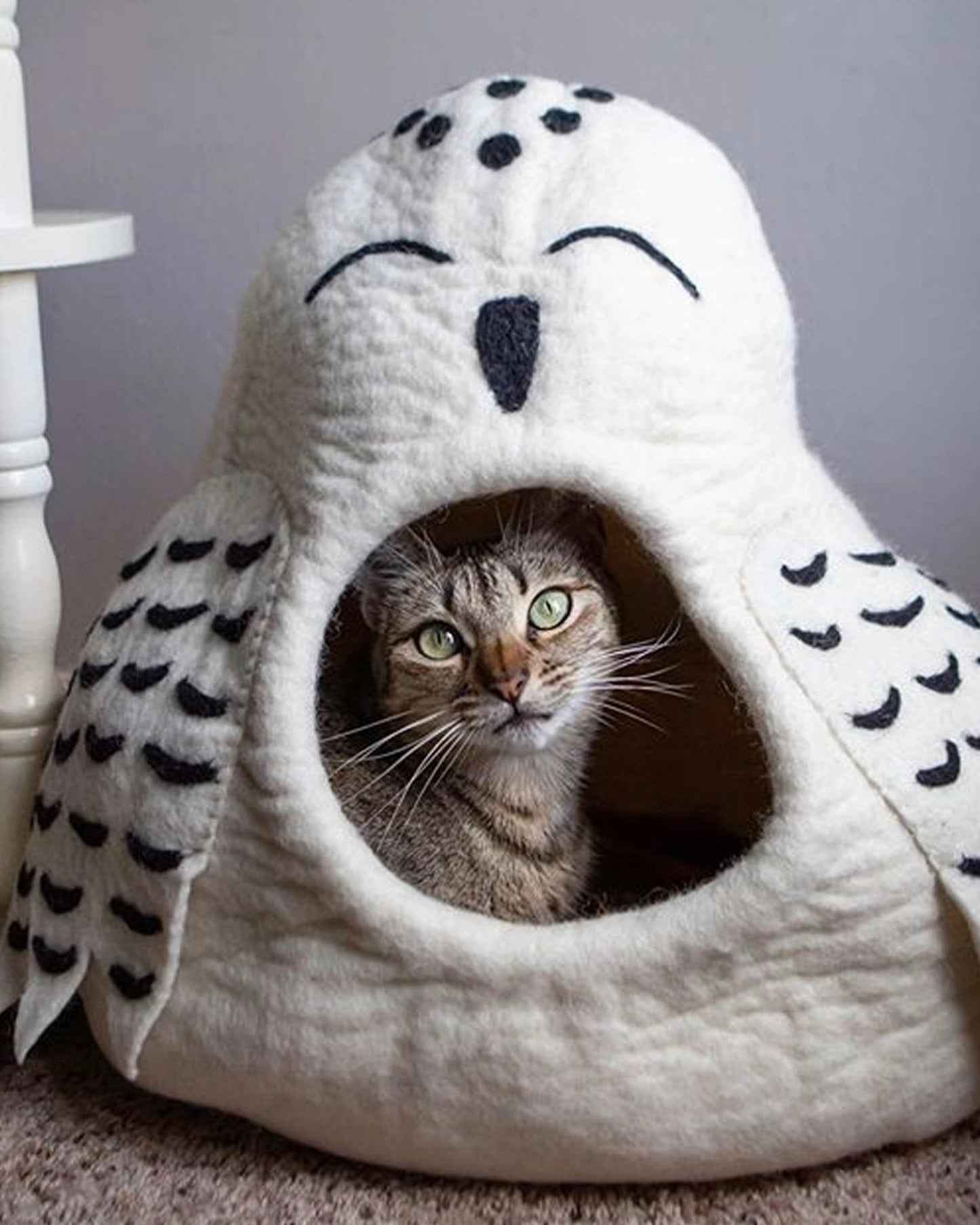Cat sitting inside an ivory owl-shaped pet cave.