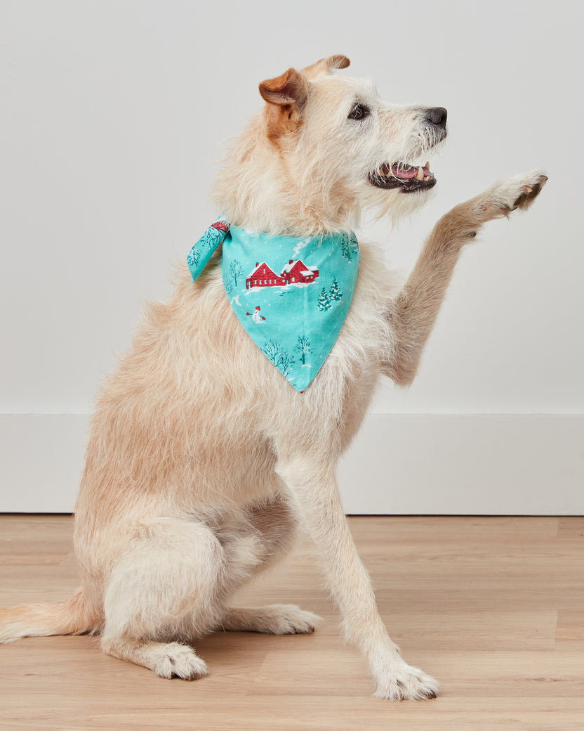 Winter Wonderland - Lightweight Flannel Pet Bandana - Snow Day - Printfresh